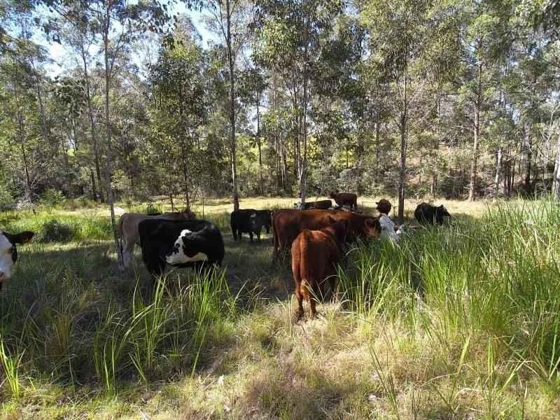 Wherrol Flat NSW 2429