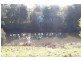 Wingham NSW 2429