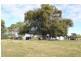 Wingham NSW 2429
