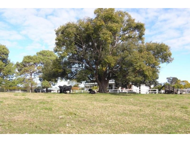Wingham NSW 2429