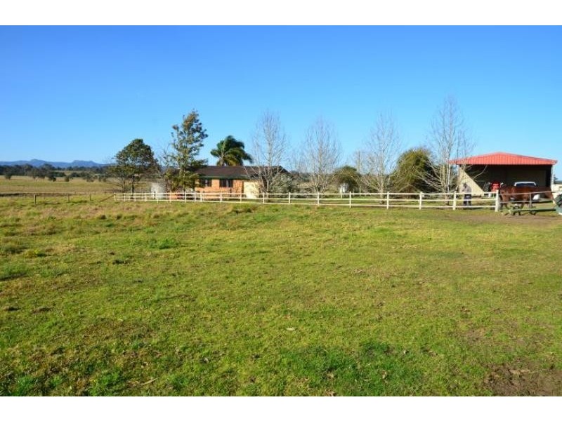 Cedar Party NSW 2429