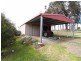 Cedar Party NSW 2429