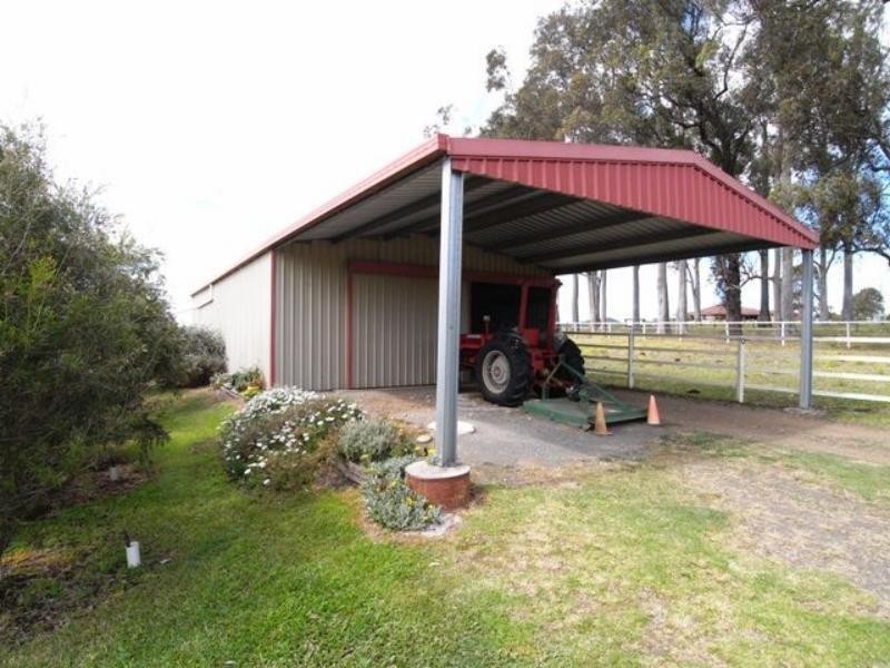Cedar Party NSW 2429