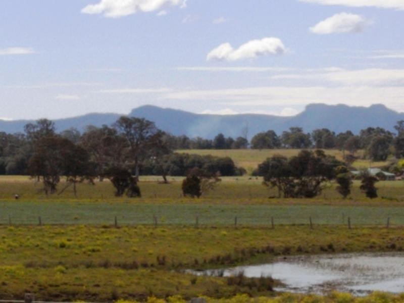 Cedar Party NSW 2429