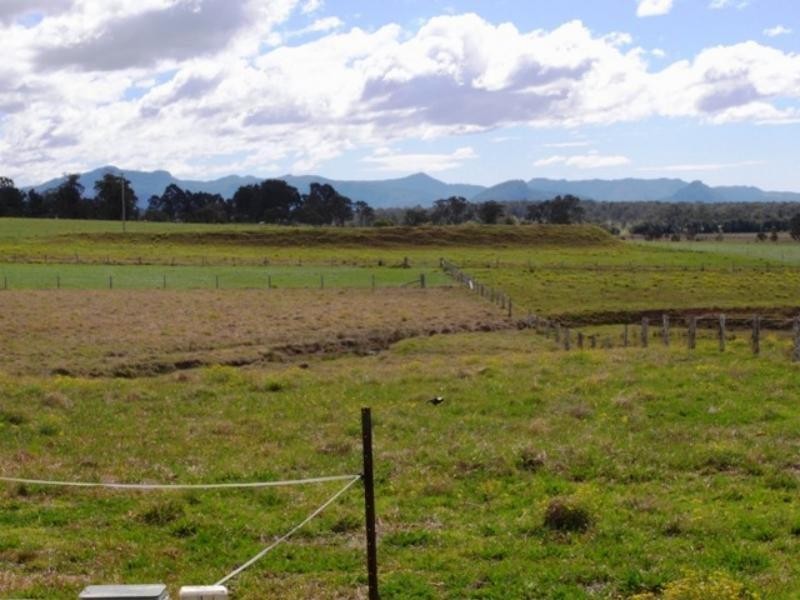 Cedar Party NSW 2429