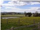 Cedar Party NSW 2429