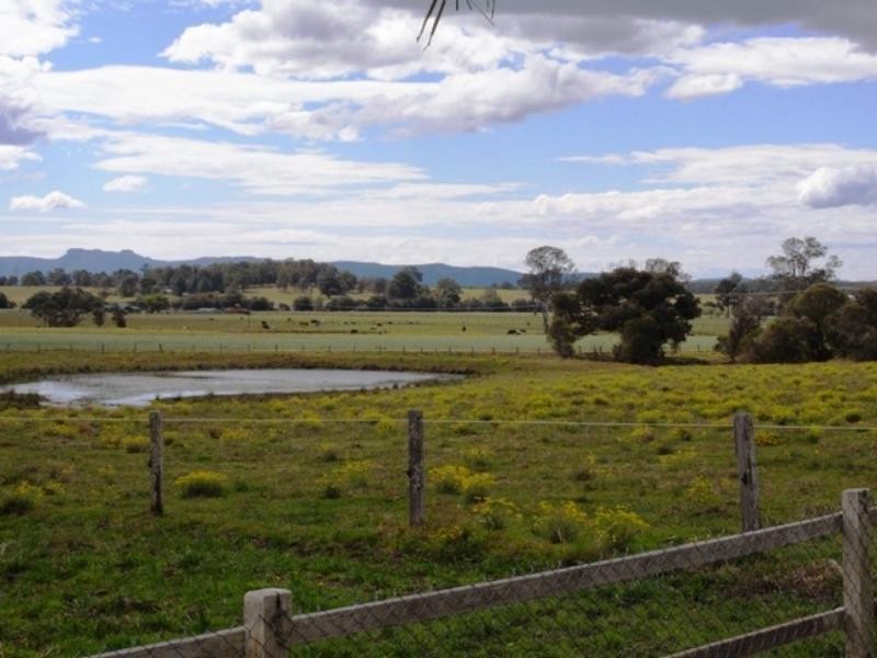 Cedar Party NSW 2429