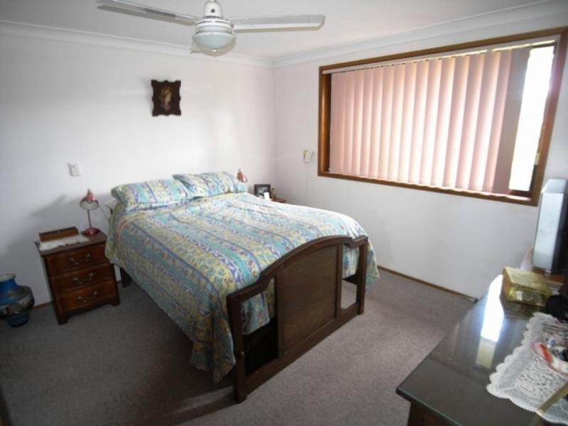 Cedar Party NSW 2429