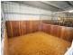 Cedar Party NSW 2429