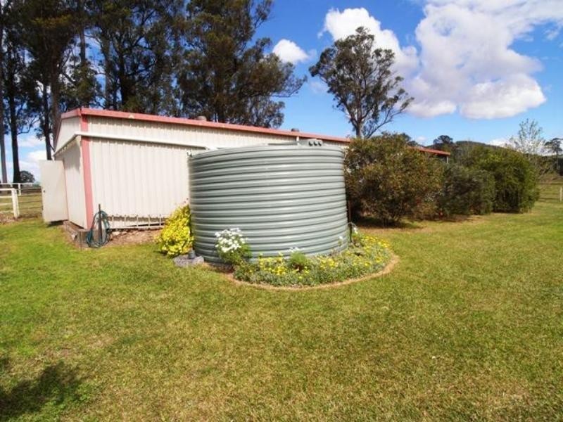 Cedar Party NSW 2429