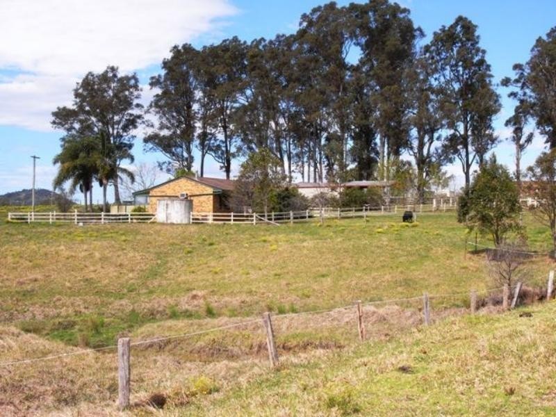 Cedar Party NSW 2429