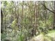 Burrell Creek NSW 2429