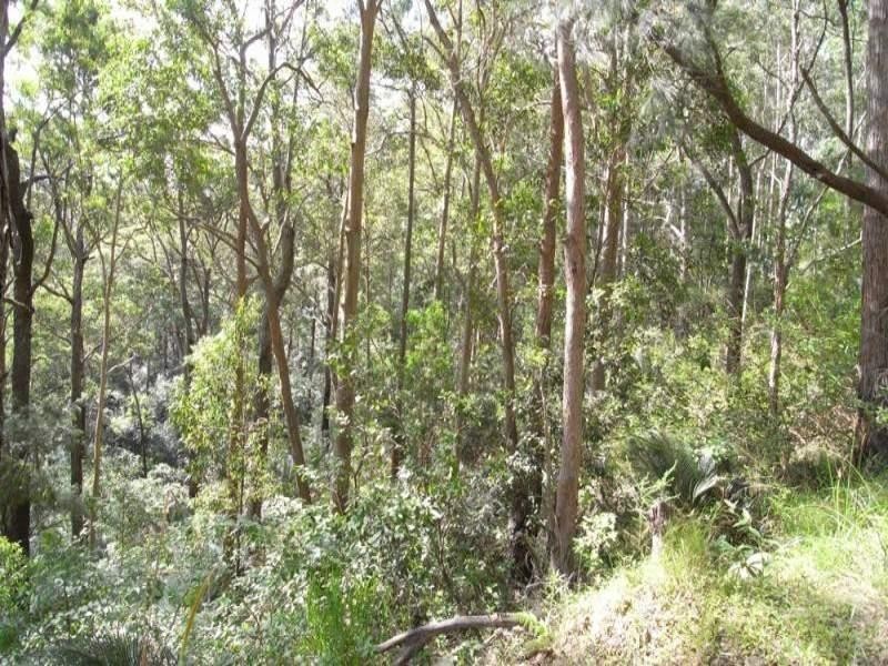 Burrell Creek NSW 2429