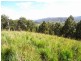 Burrell Creek NSW 2429