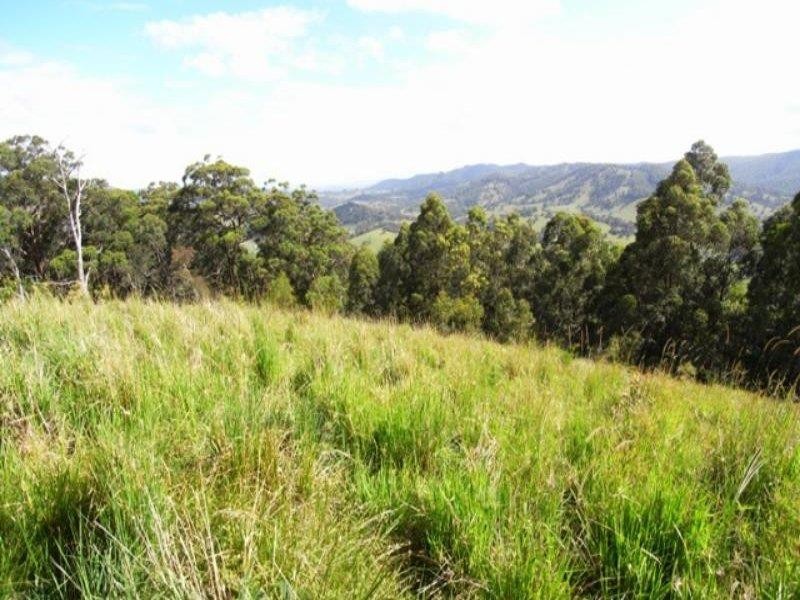 Burrell Creek NSW 2429