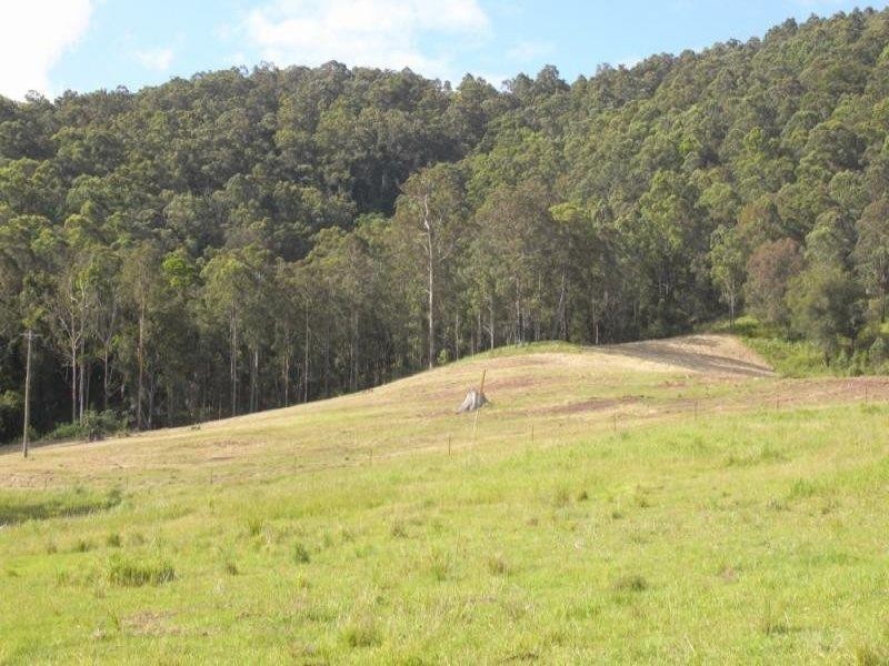 Burrell Creek NSW 2429