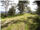 Burrell Creek NSW 2429
