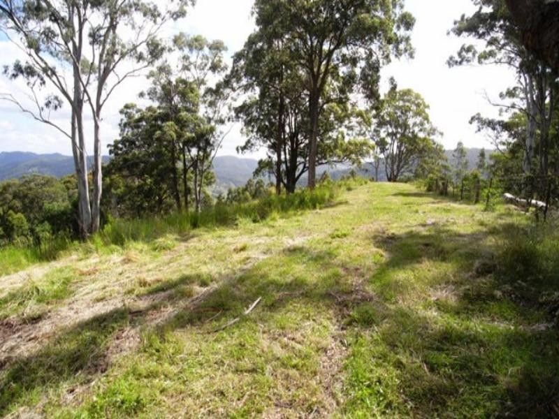 Burrell Creek NSW 2429
