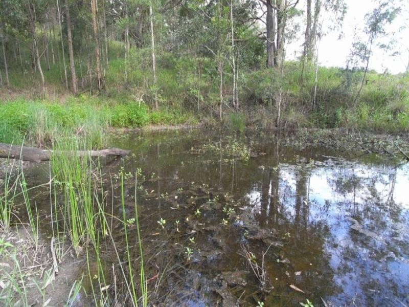 Burrell Creek NSW 2429