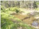 Burrell Creek NSW 2429