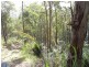Burrell Creek NSW 2429