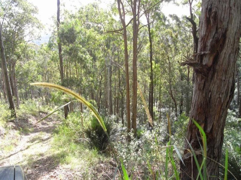 Burrell Creek NSW 2429