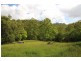 Strathcedar NSW 2429