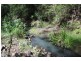 Strathcedar NSW 2429
