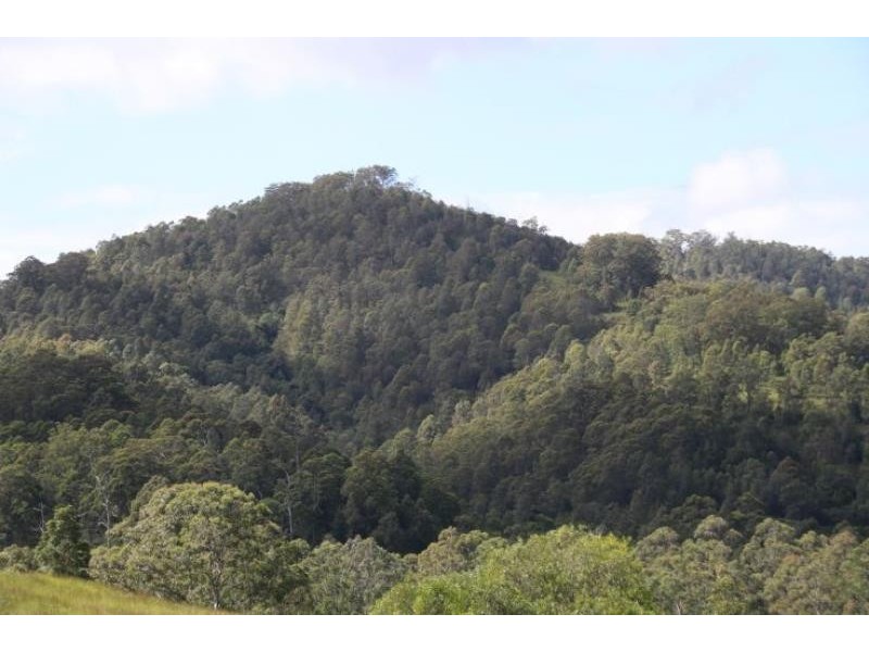Strathcedar NSW 2429