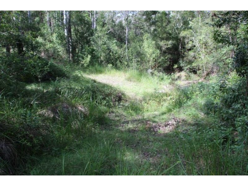 Strathcedar NSW 2429
