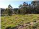Strathcedar NSW 2429