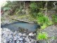 Strathcedar NSW 2429
