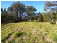 Strathcedar NSW 2429