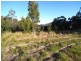 Strathcedar NSW 2429