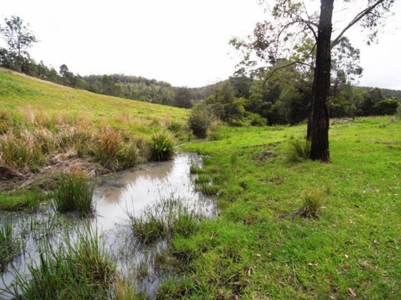 Mount George NSW 2424