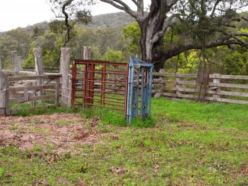 Mount George NSW 2424