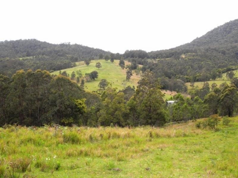 Mount George NSW 2424