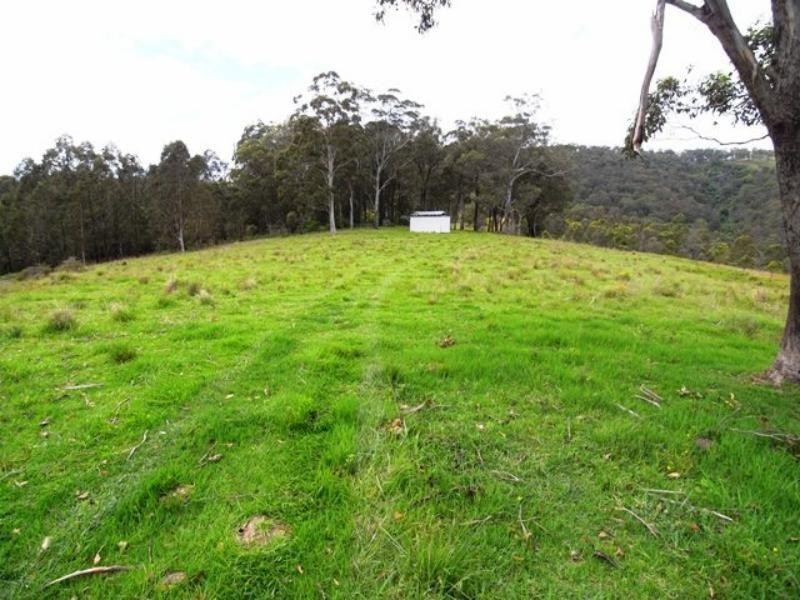 Mount George NSW 2424