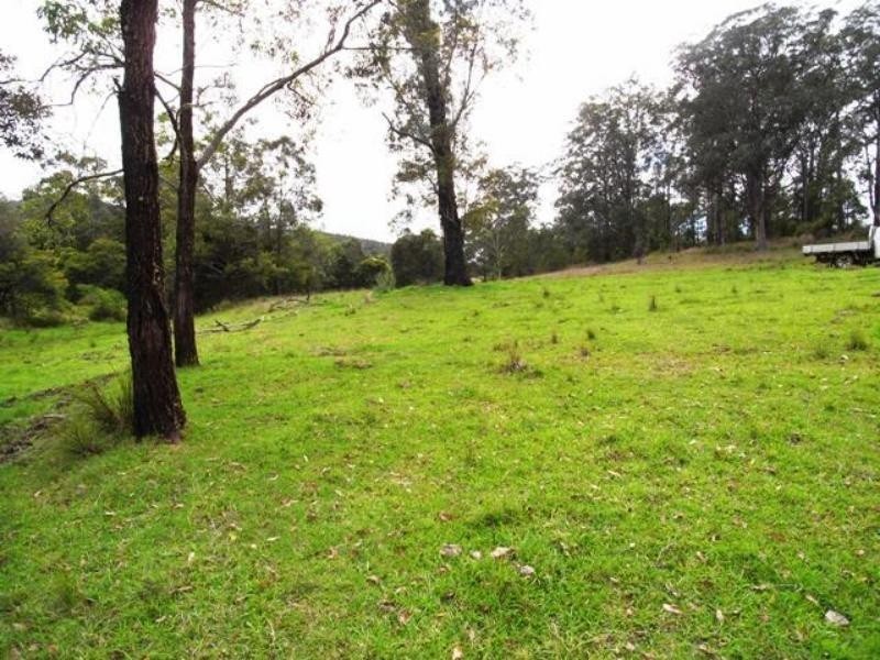 Mount George NSW 2424