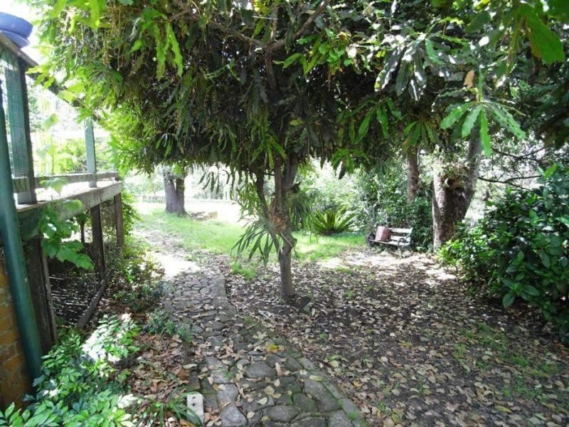 19 Primrose St, Wingham NSW 2429