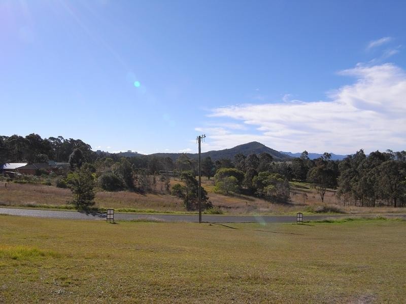 Mountview Ave, Wingham NSW 2429