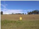 Mountview Ave, Wingham NSW 2429