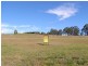 Mountview Ave, Wingham NSW 2429