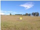 Mountview Ave, Wingham NSW 2429