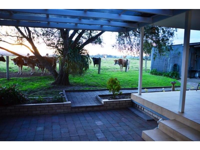 271 Marchfield Rd, Wingham NSW 2429