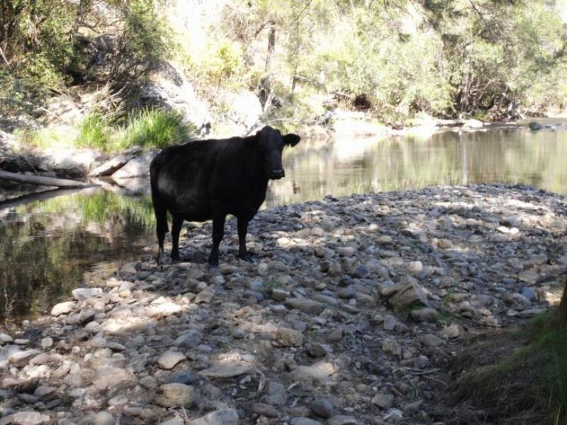 Cooplacurripa NSW 2424