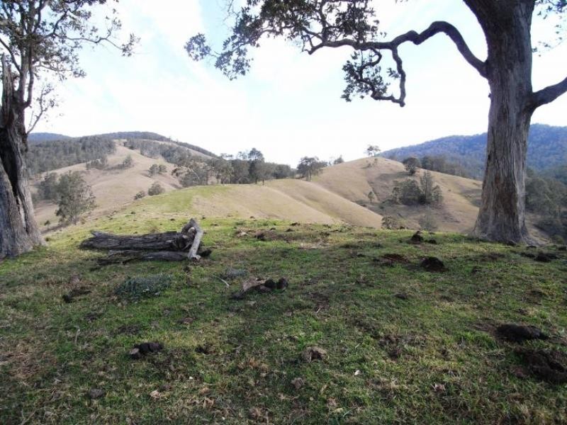 Cooplacurripa NSW 2424