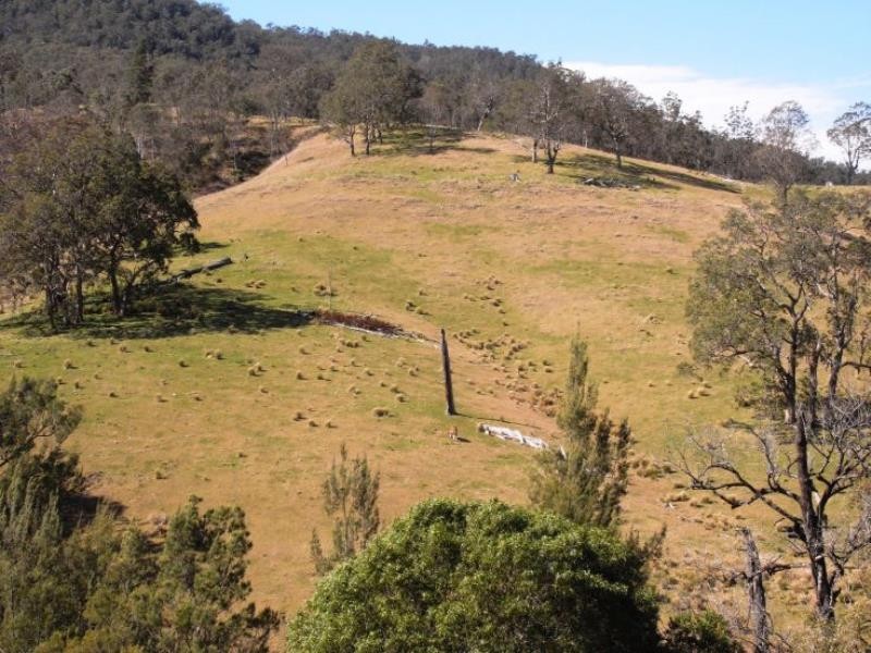 Cooplacurripa NSW 2424