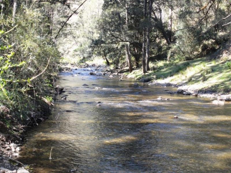 Cooplacurripa NSW 2424