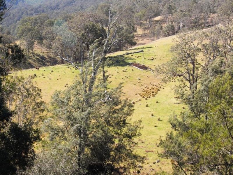 Cooplacurripa NSW 2424